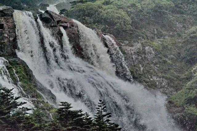 绯雨骑士团